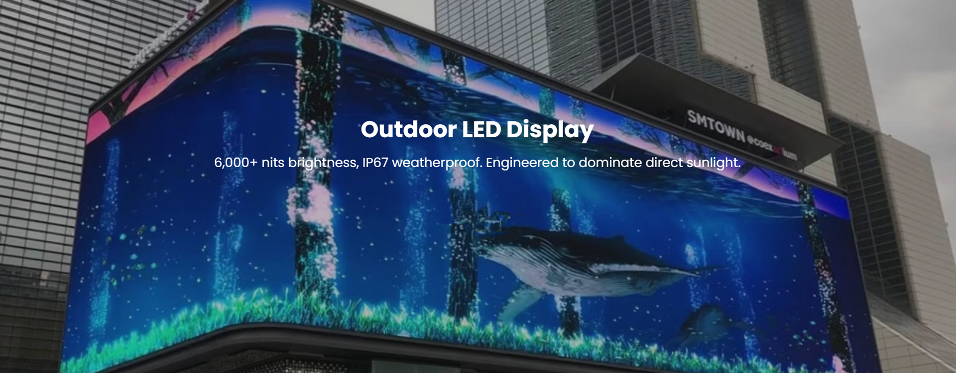 Fixed LED Display